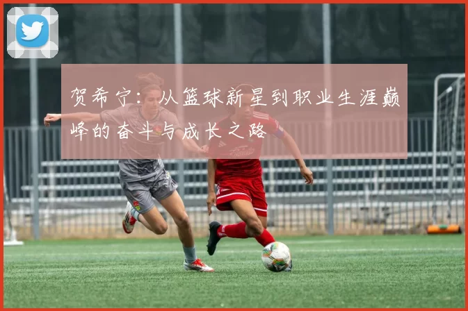 贺希宁：从篮球新星到职业生涯巅峰的奋斗与成长之路