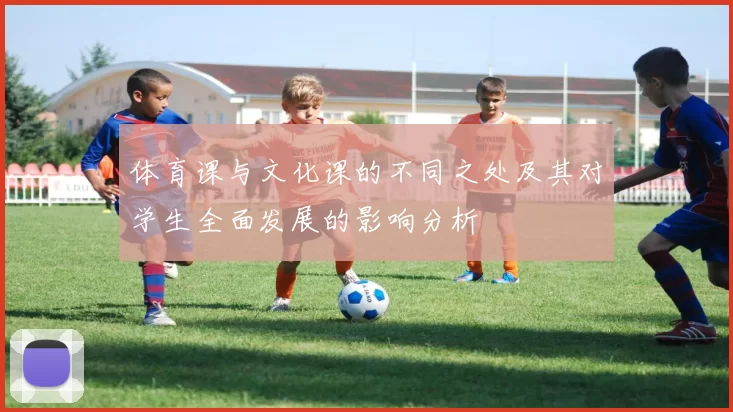 体育课与文化课的不同之处及其对学生全面发展的影响分析