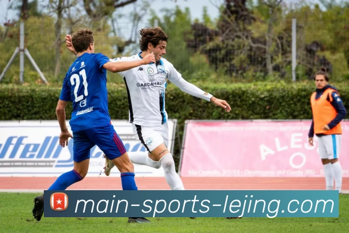 乐竞体育平台生态图